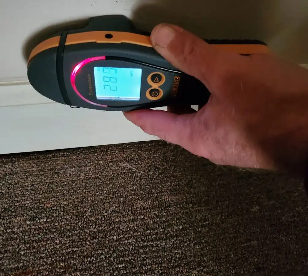 Moisture detection at baseboard during Sewage Cleanup & Sanitation in Pembroke